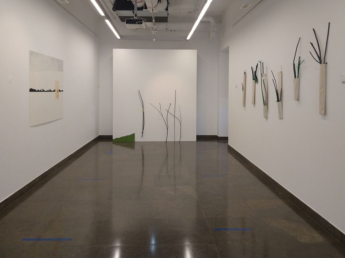 Vista da exposição As possibilidades de uma paisagem, Galeria do Parque, Vila Nova da Barquinha, 2020.