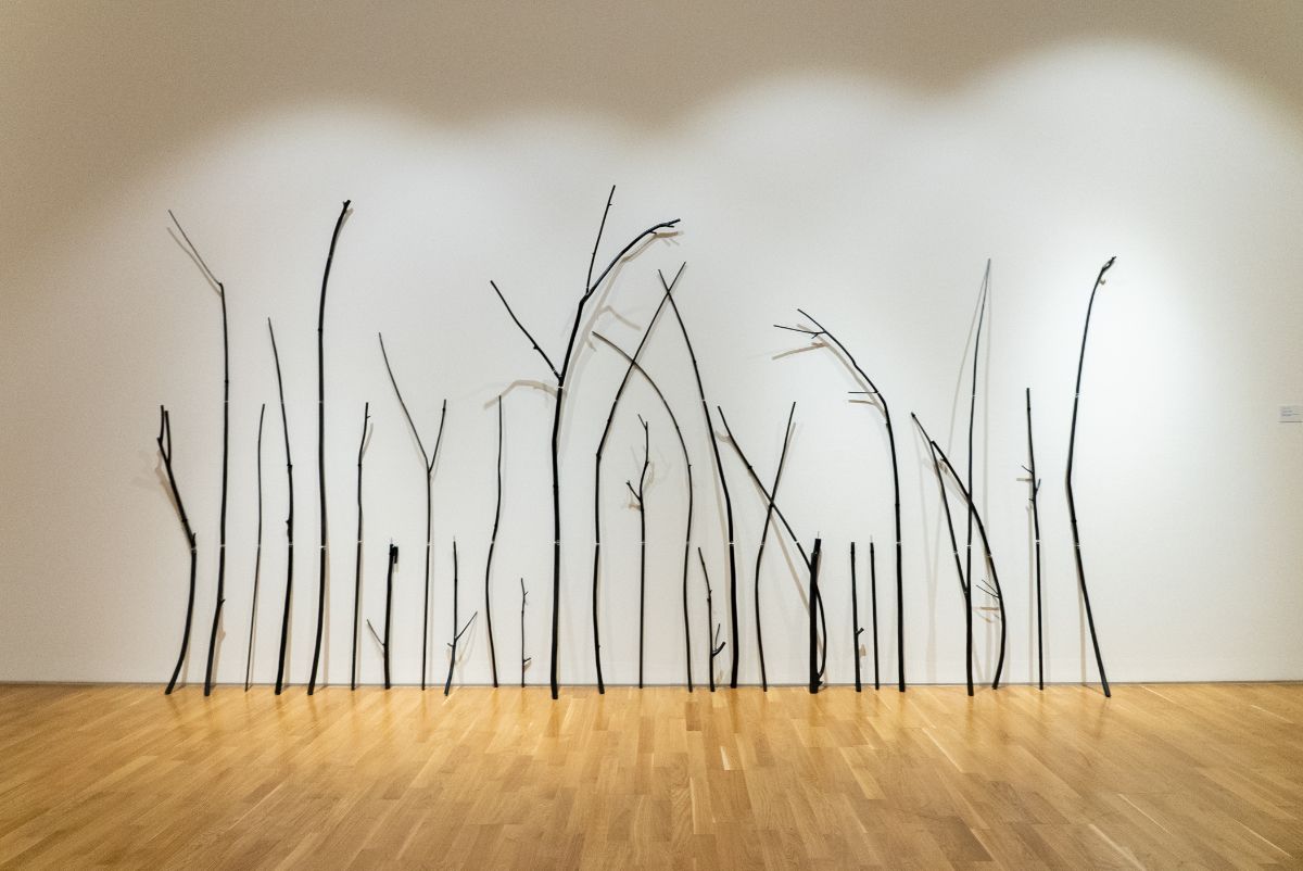 Dendrograma | Tree-kit, 2016–26, madeira, alumínio, tinta vinílica, velcro, dimensões variáveis. Vista da exposição ECO·NOMIA, Centro Cultural de Cascais, 2026.