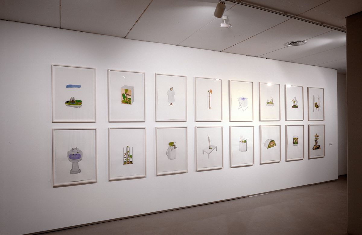 Desenhos Natureza Domesticada, 2001–2002.