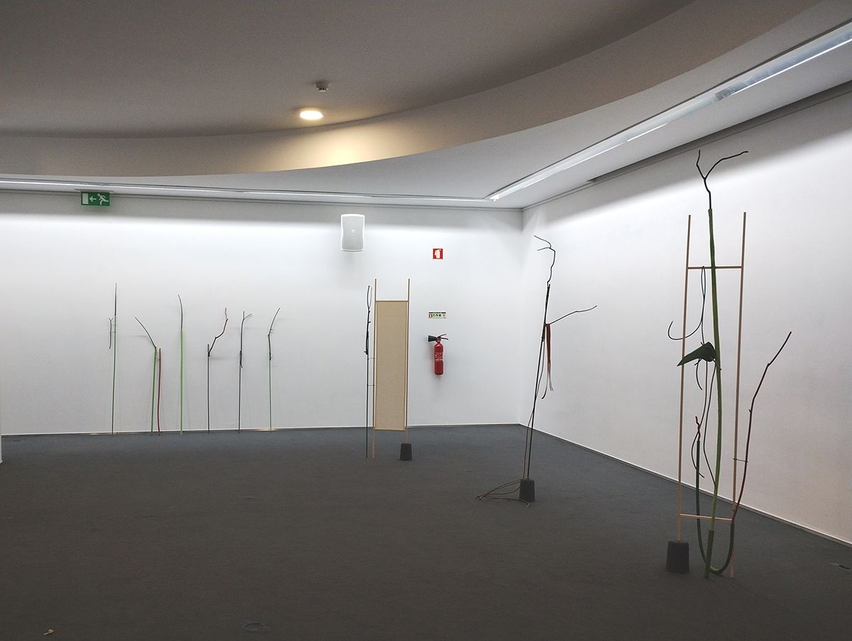 Vista da exposição Sativa, Biblioteca Municipal de Águeda, 2023.