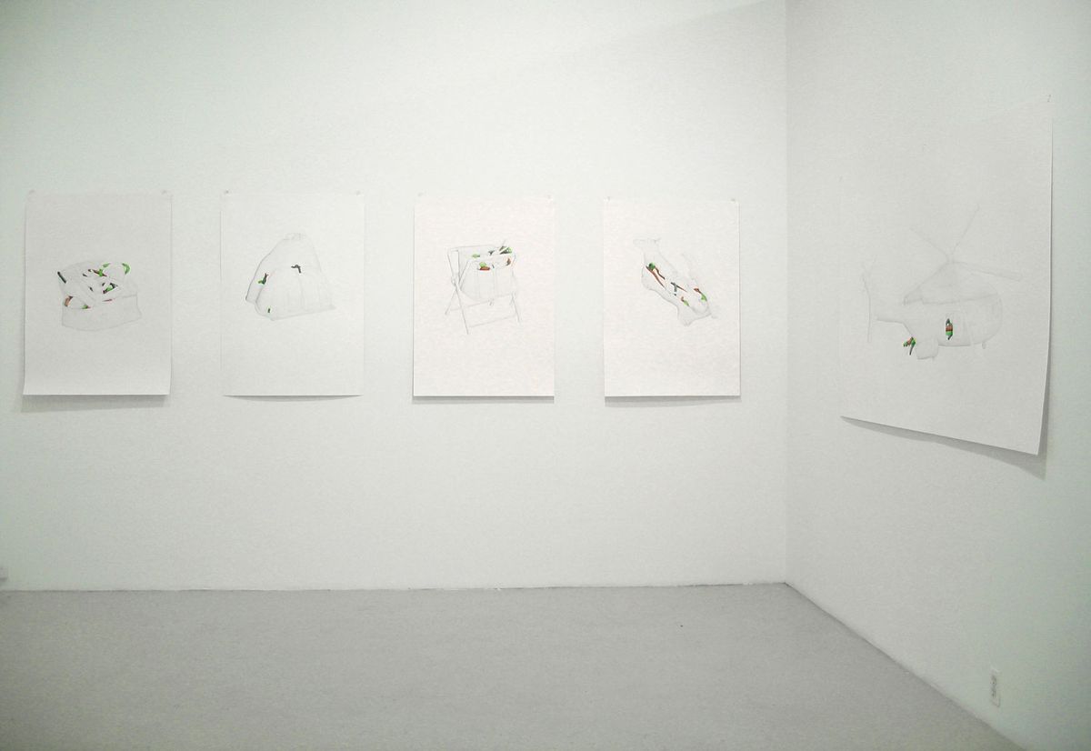 Vista da exposição Natural Selection, Michael Steinberg Projet Room, Nova Iorque, 2005.