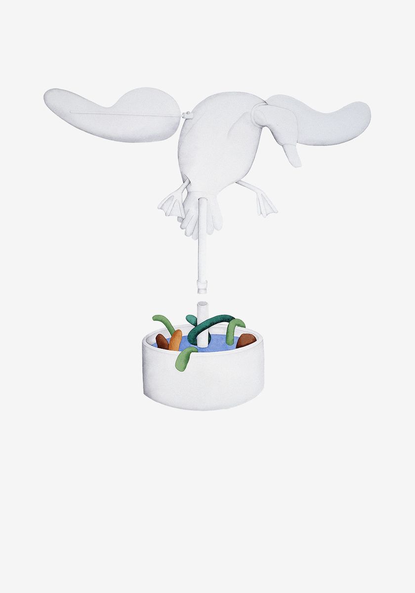 Flying Duck, 2005, aguarela sobre papel, 96x70,5 cm.