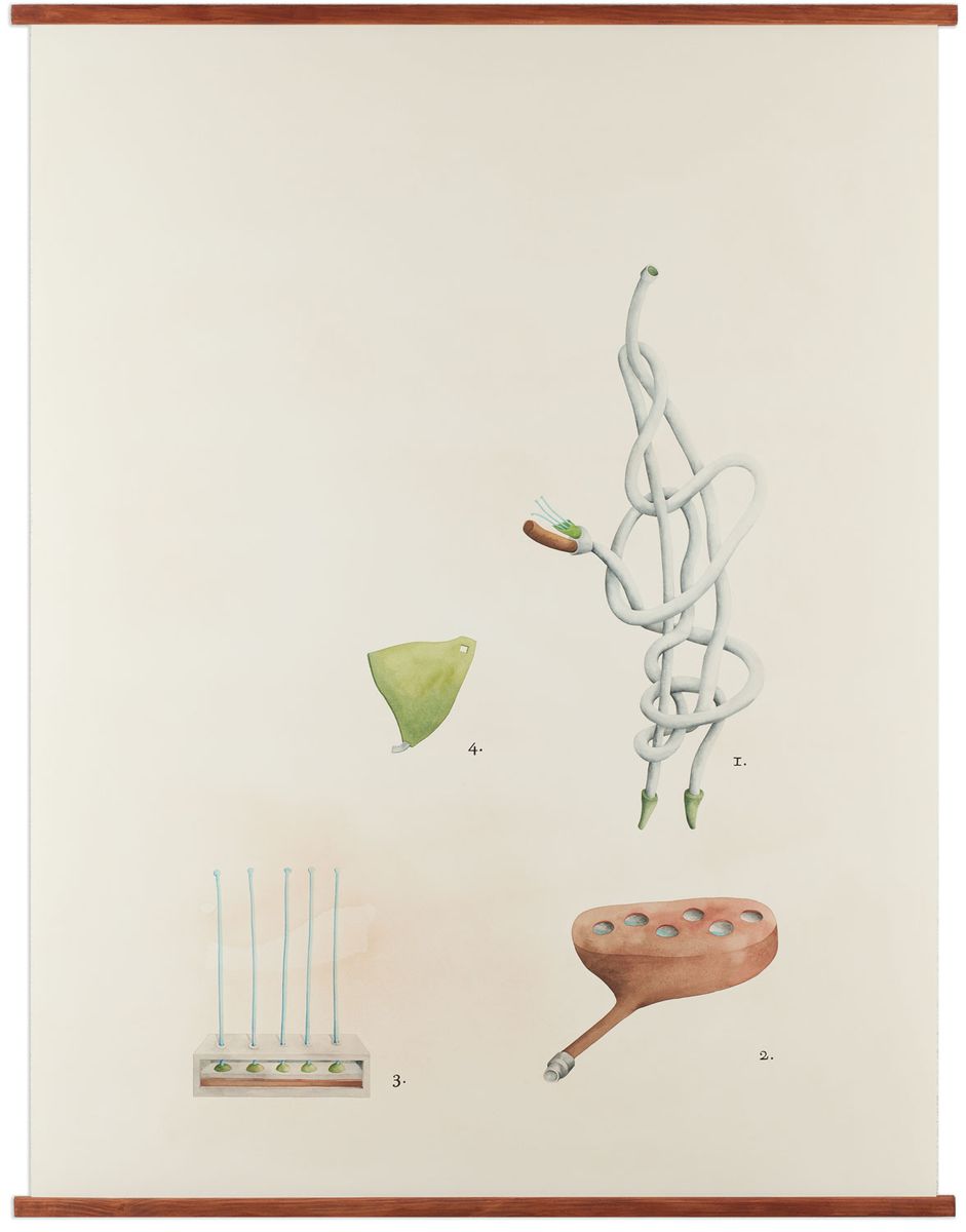 Organum tubulosum (Tubulaceae), 2011, aguarela sobre papel, 138x105 cm.