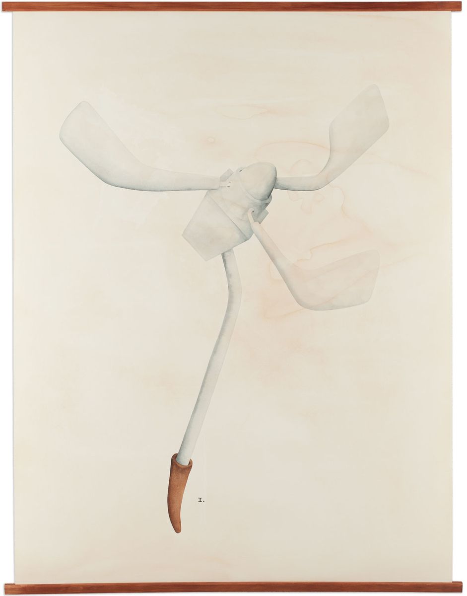 Instrumentum ventifolium (Aeriaceae), 2011, aguarela sobre papel, 138x105 cm.