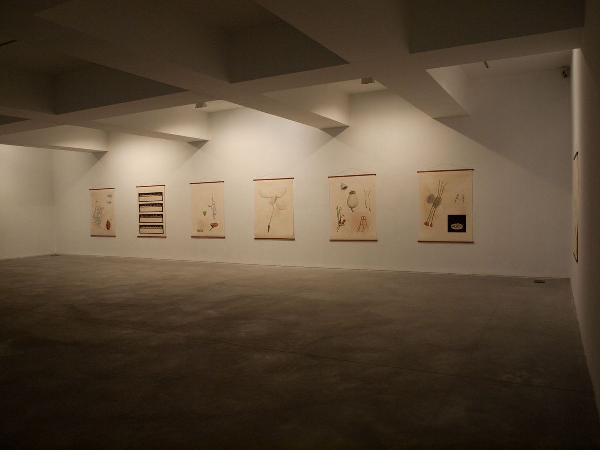 Systema Naturæ, vista da instalação, 2012.