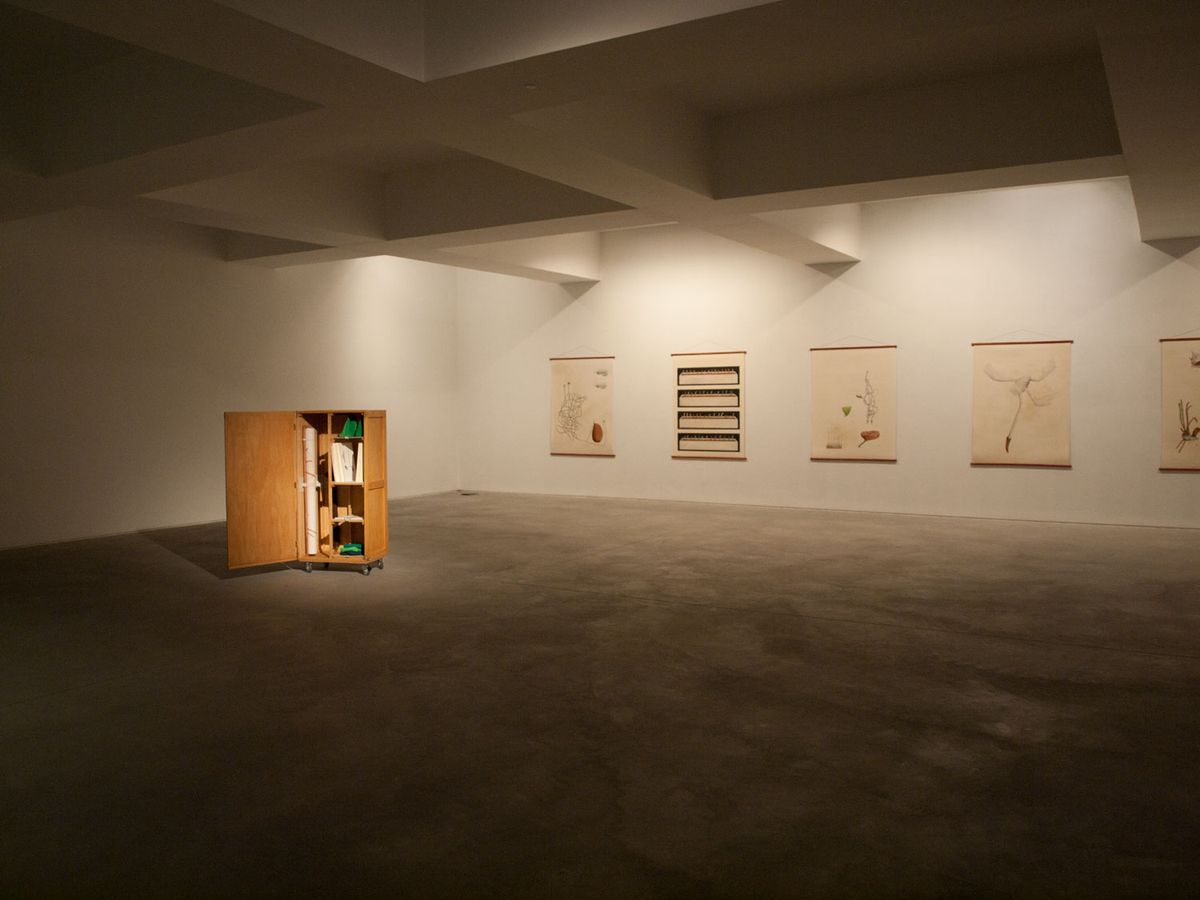 Systema Naturæ, vista da instalação, 2012.