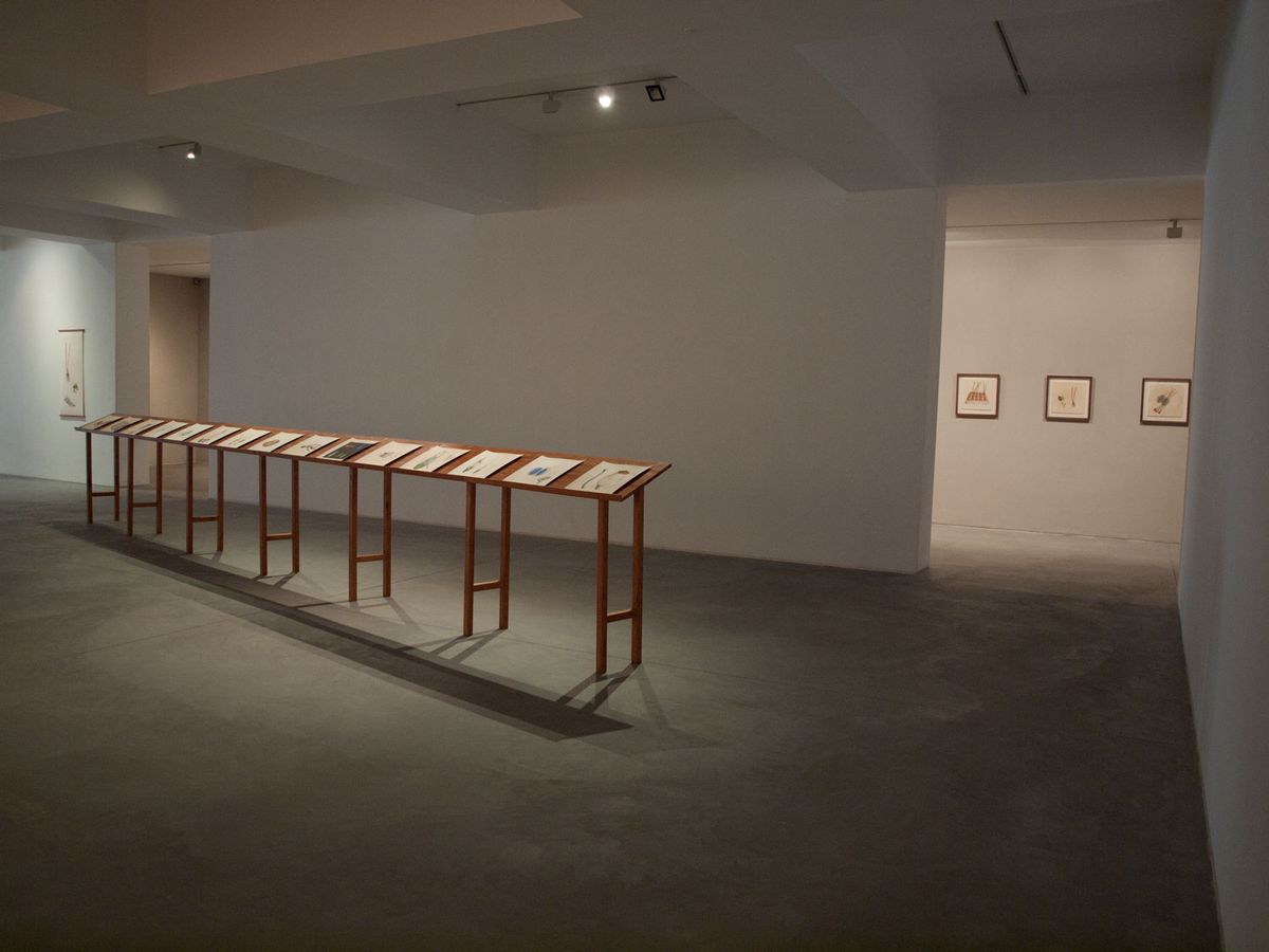 Systema Naturæ, vista da instalação, 2012.