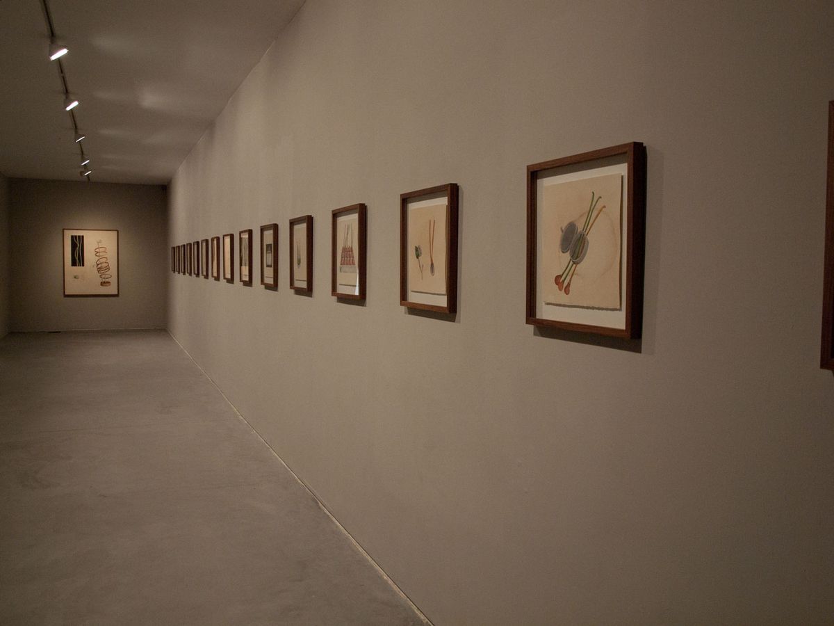 Systema Naturæ, vista da instalação, 2012.