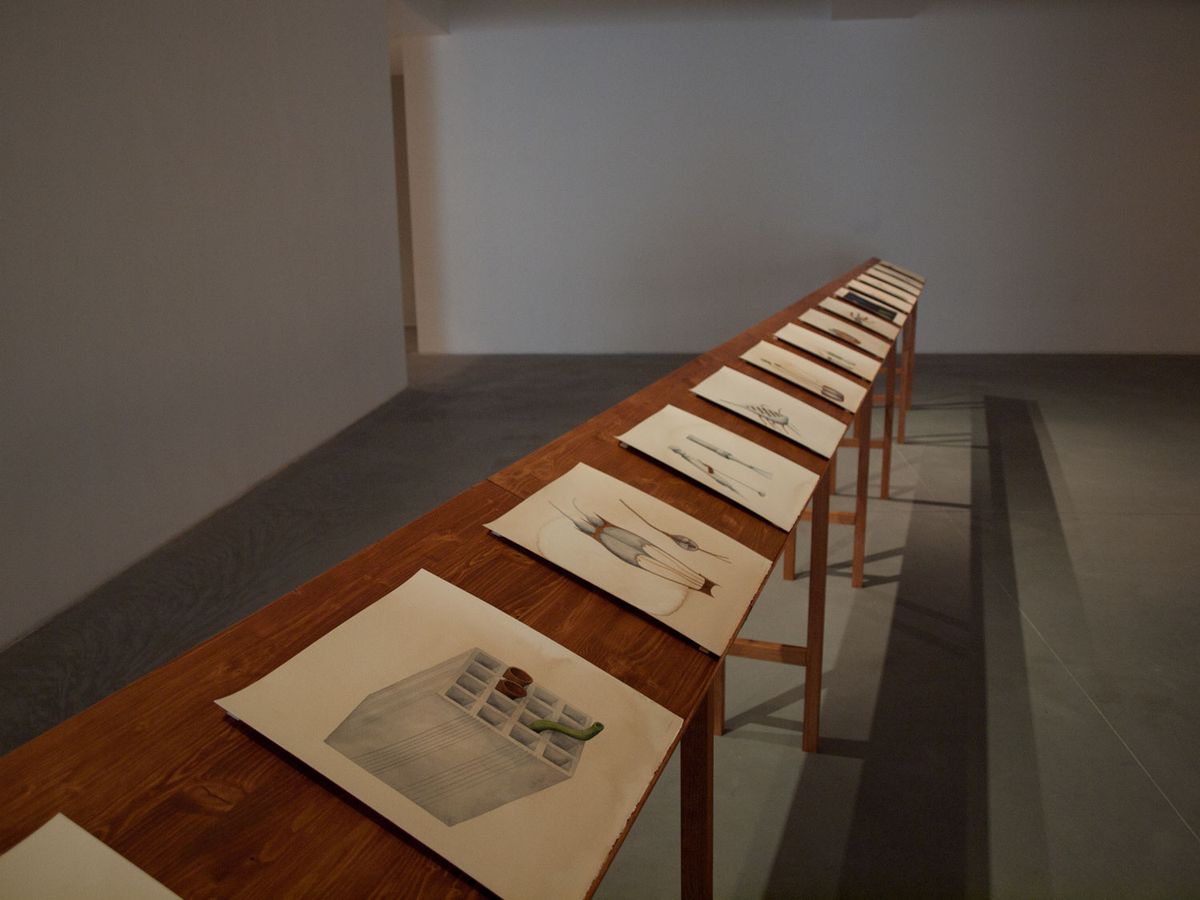 Systema Naturæ, vista da instalação, 2012.