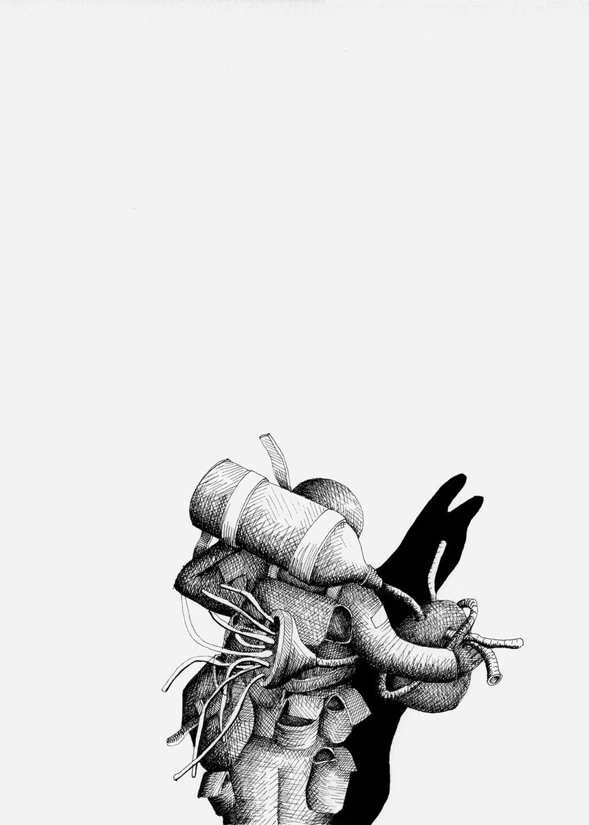 Thicket #309, 2006, tinta sobre papel, 19x13 cm.